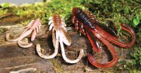 Guminukas Crazy Fish 40 mm Allure Glowing