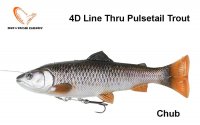 Savage Gear 4D Line Thru Pulsetail Truite Chevesne