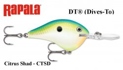 Rapala DT(Dives-To) wobbler DT16CTSD Citrus Shad