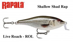 Vobleris Rapala Shallow Shad Rap Live Roach