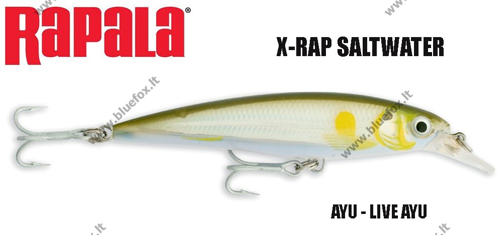 Rapala vobleris X-RAP Saltwater AYU - Spauskite ant paveikslėlio norint uždaryti