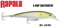 Rapala vobleris X-RAP Saltwater AYU