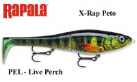 Rapala X-Rap Peto PEL - Live Perch