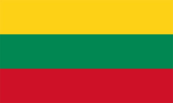 Lietuvos valstybine vėliava.
